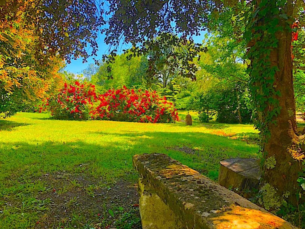 Fabuleux - Domaine Du Moulin D'Andraut Bordeaux-Chevaux-Golf-St Emilion Villa Montussan Exteriör bild