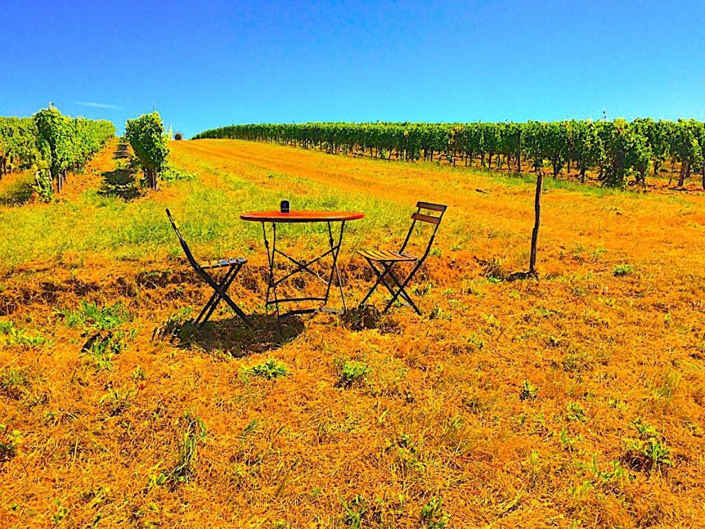 Fabuleux - Domaine Du Moulin D'Andraut Bordeaux-Chevaux-Golf-St Emilion Villa Montussan Exteriör bild